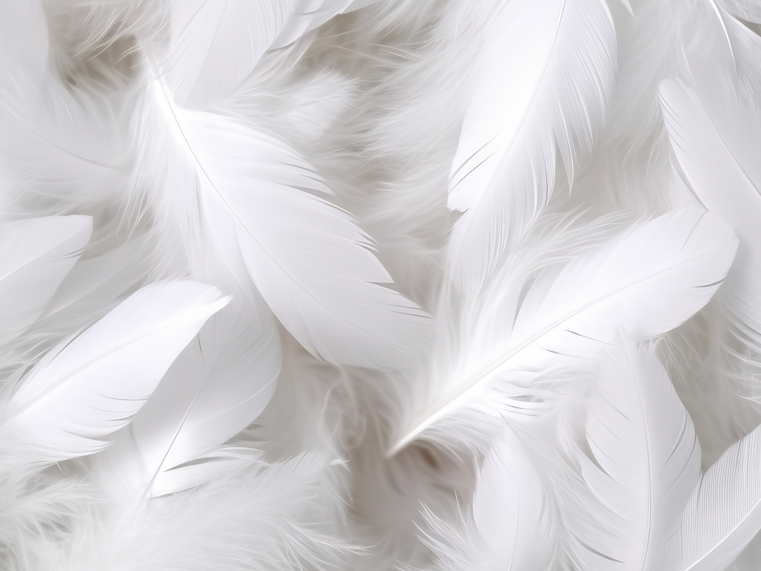 Hände halten weiße, flauschige Fasern vor neutralem Hintergrund.