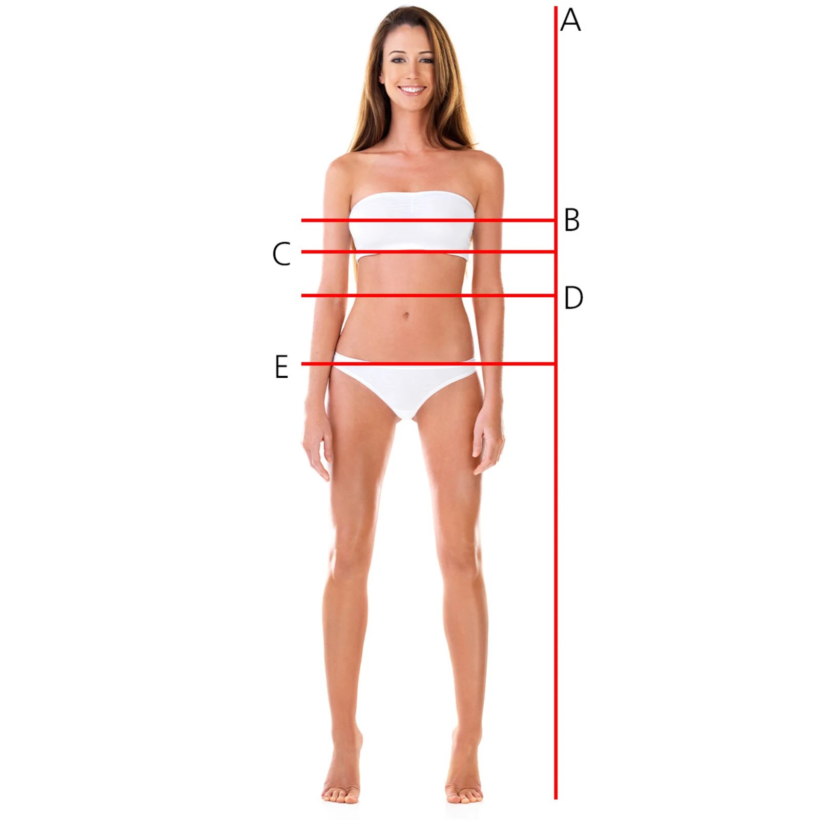 Frau in weißer Unterwäsche frontal stehend, markiert mit roten Linien zur Körpervermessung. Frau in weißer Unterwäsche frontal stehend, markiert mit roten Linien zur Körpervermessung.