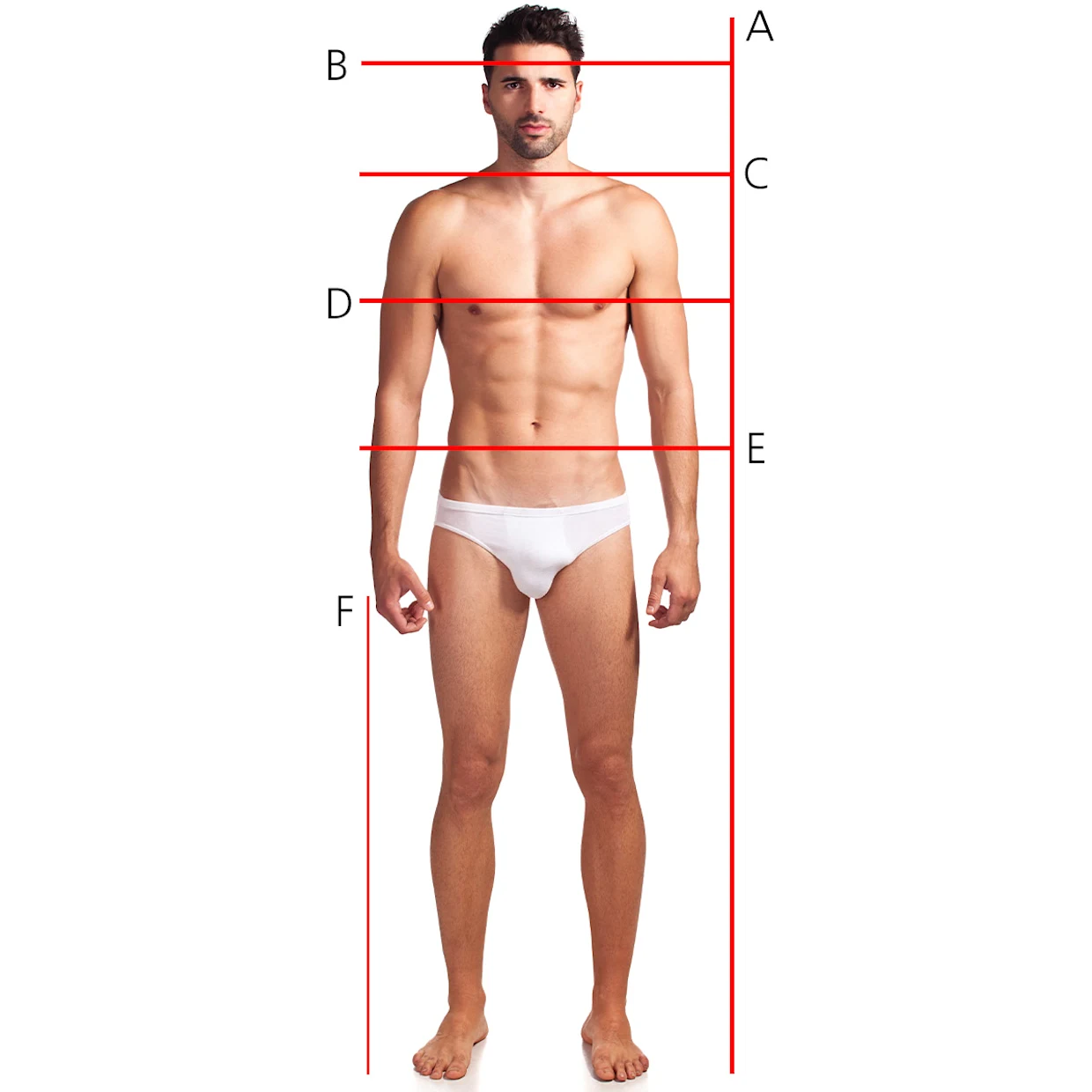 Männlicher Oberkörper in weißer Unterwäsche, frontal dargestellt, mit roten Linien zur Markierung von Körpermaßen. Männlicher Oberkörper in weißer Unterwäsche, frontal dargestellt, mit roten Linien zur Markierung von Körpermaßen.