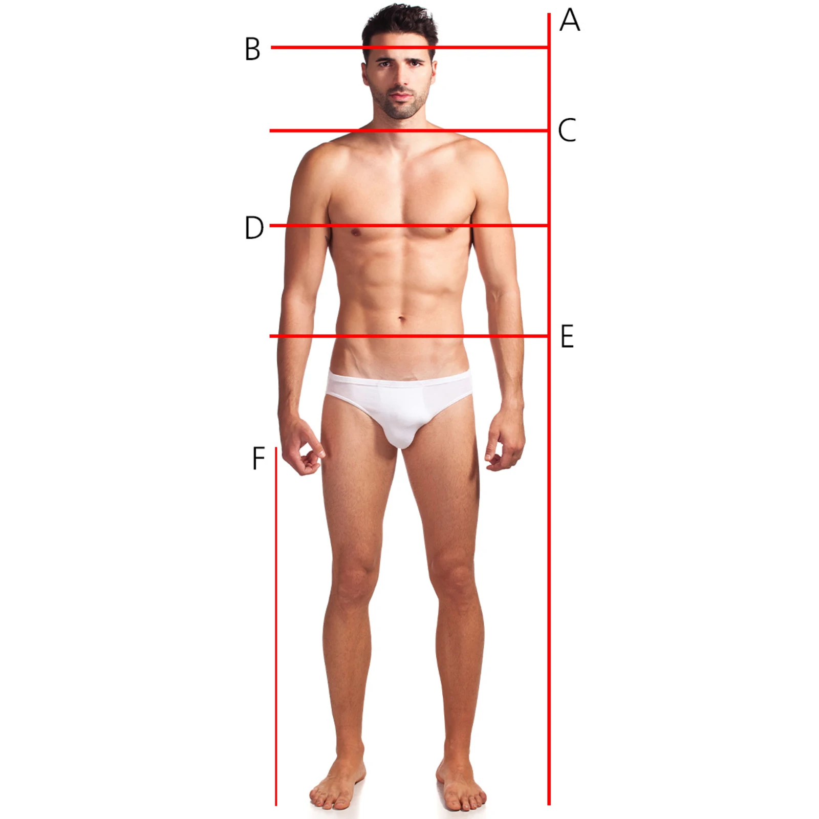 Männlicher Oberkörper in weißer Unterwäsche, frontal dargestellt, mit roten Linien zur Markierung von Körpermaßen. Männlicher Oberkörper in weißer Unterwäsche, frontal dargestellt, mit roten Linien zur Markierung von Körpermaßen.