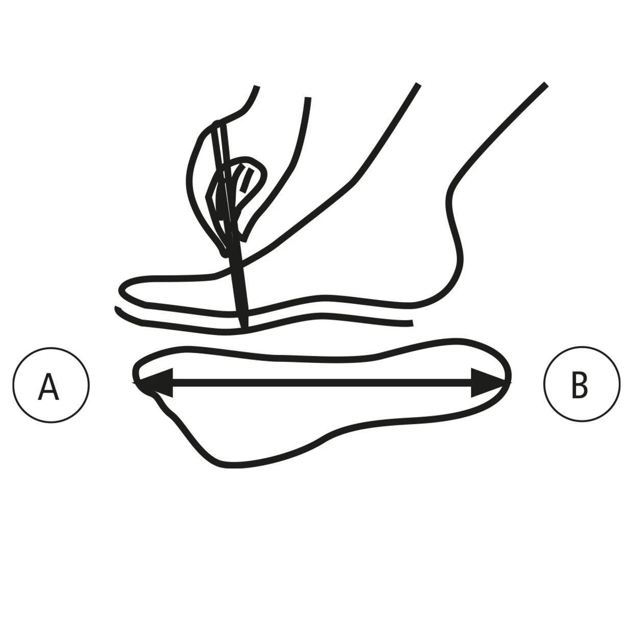 Illustration zur Fußlängenmessung: Eine Hand zeichnet die Kontur eines Fußes auf Papier, mit Pfeilen zur Messung der Länge von Punkt A (Zehen) bis Punkt B (Fersen). Illustration zur Fußlängenmessung: Eine Hand zeichnet die Kontur eines Fußes auf Papier, mit Pfeilen zur Messung der Länge von Punkt A (Zehen) bis Punkt B (Fersen).