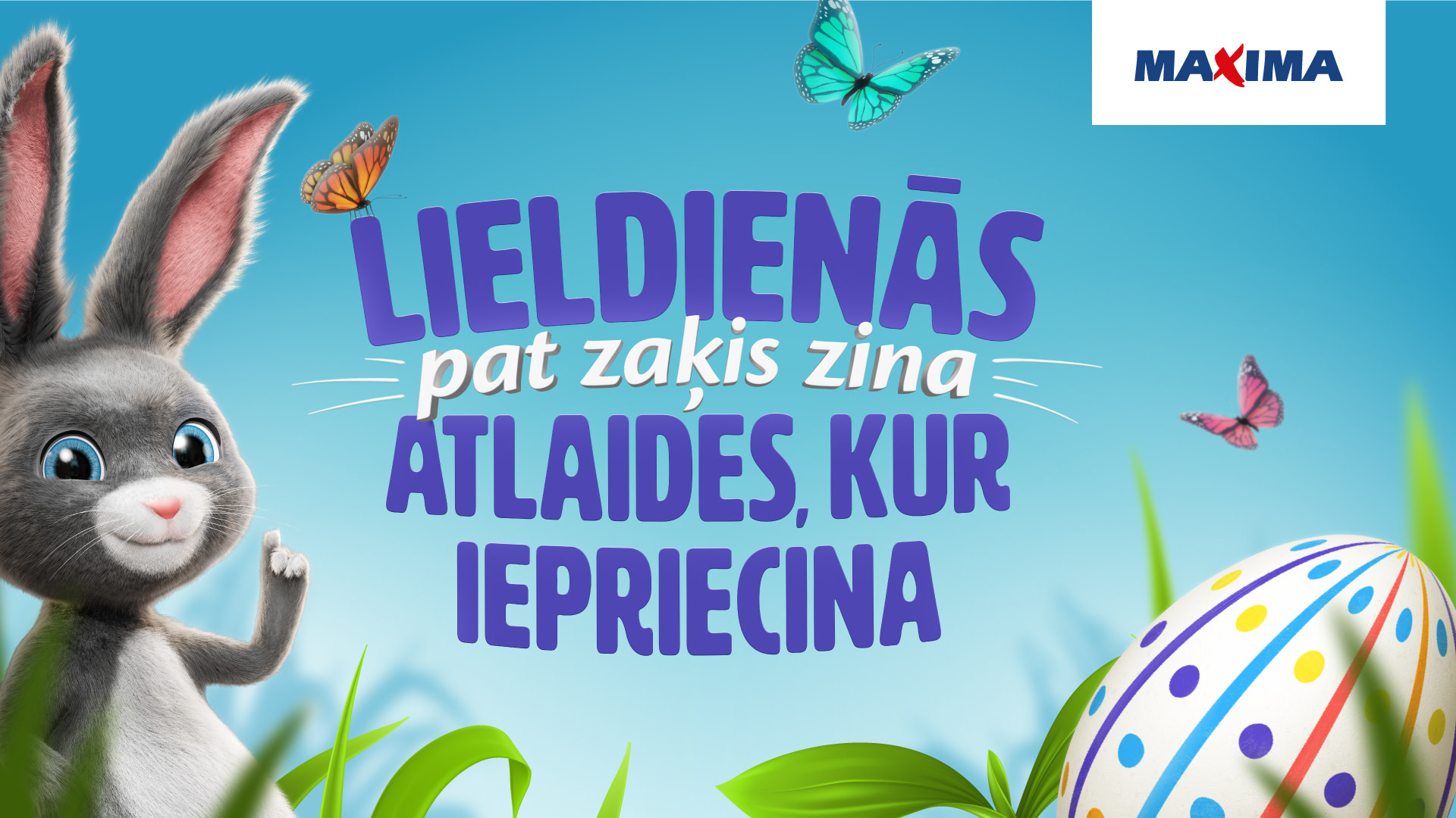 Maxima ZAĶIS KV