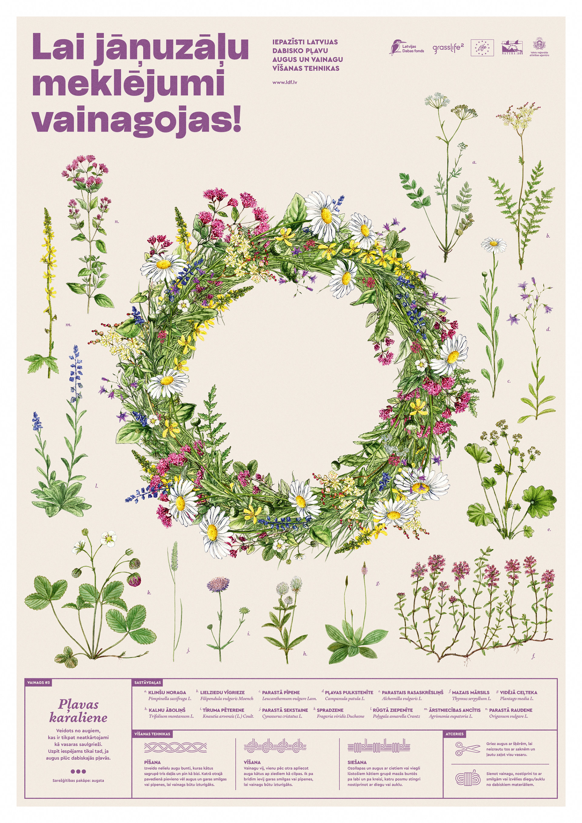 LDF Vainags3