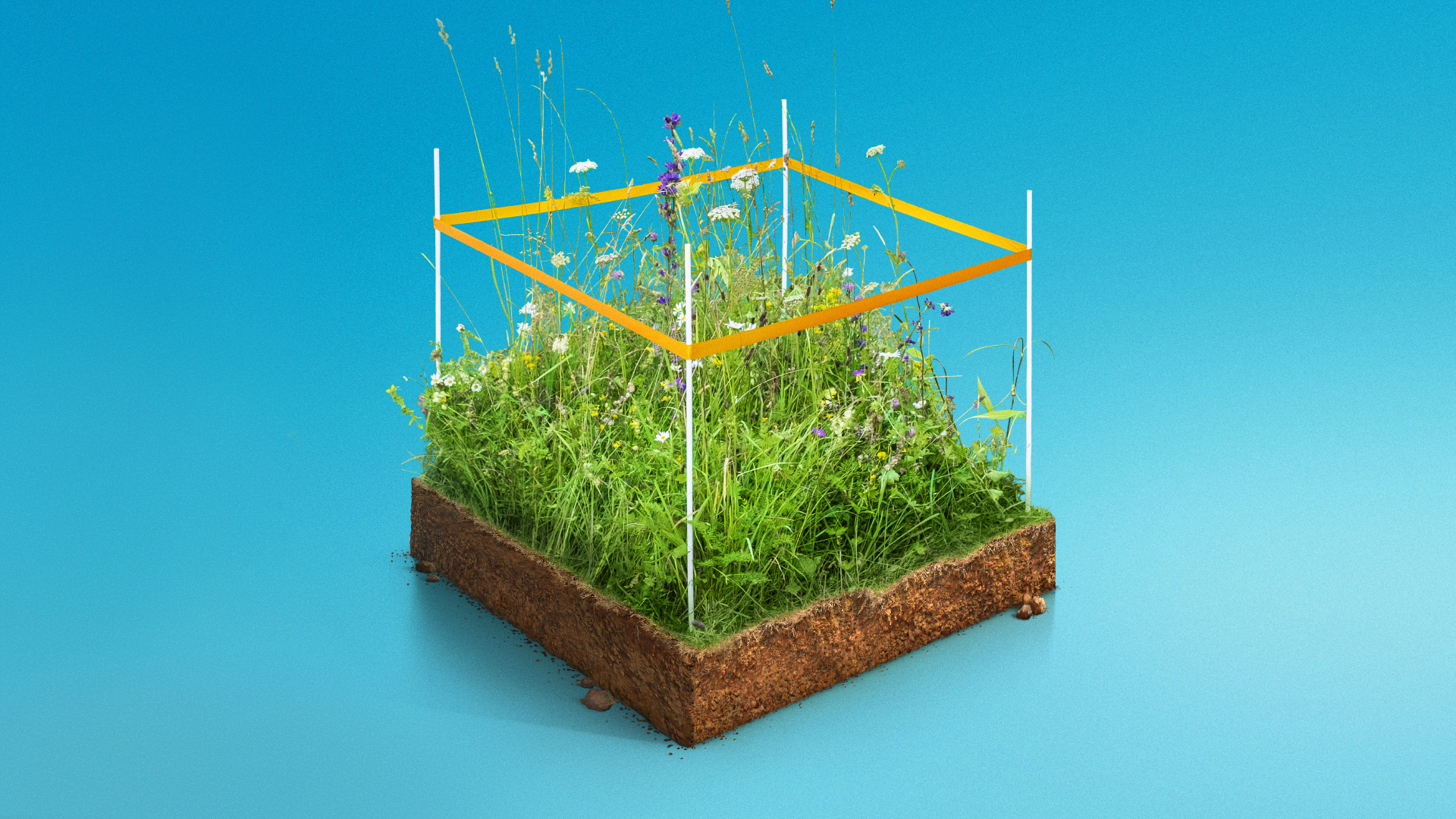 50X more valuable m2