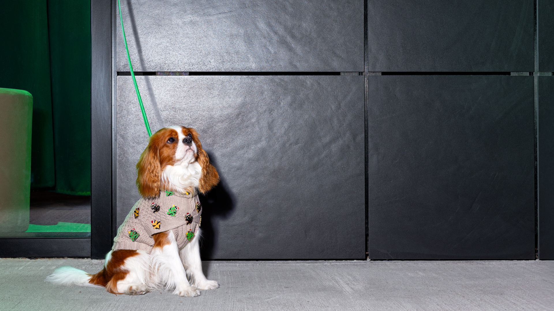 Paturi, ieskriešu nopirkt dāvanu!