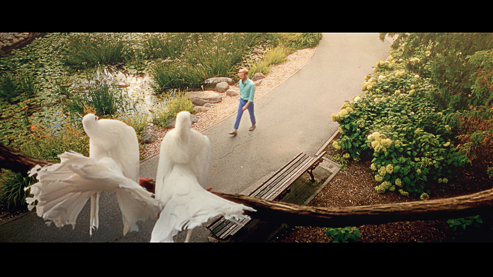 Looking for the right one? Follow the heart!