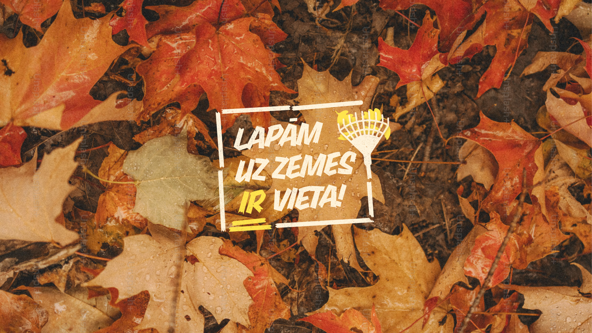 There's a place for every leaf!