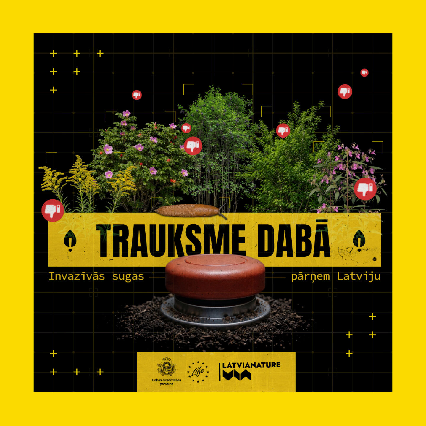 Trauksme daba KV