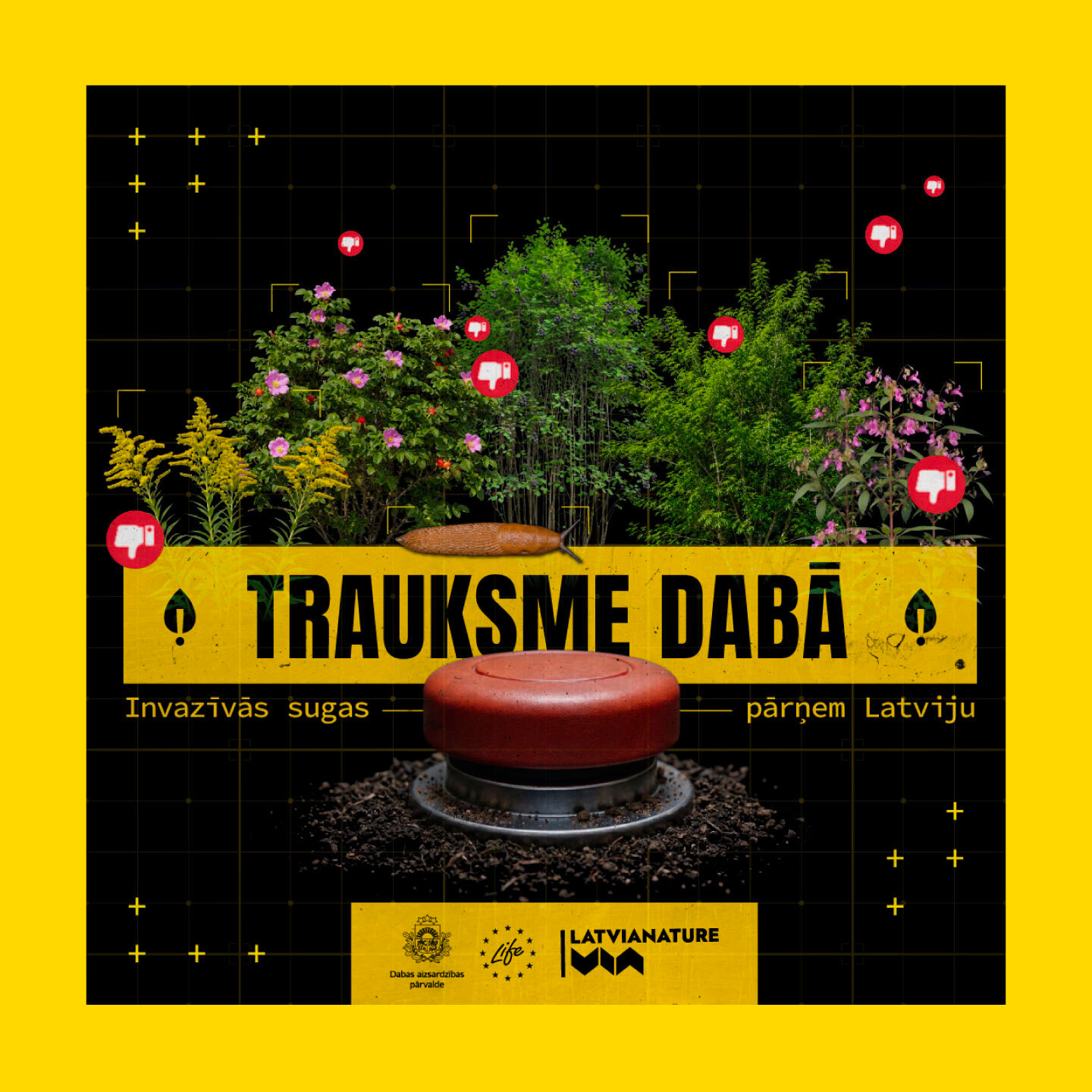 Trauksme daba KV