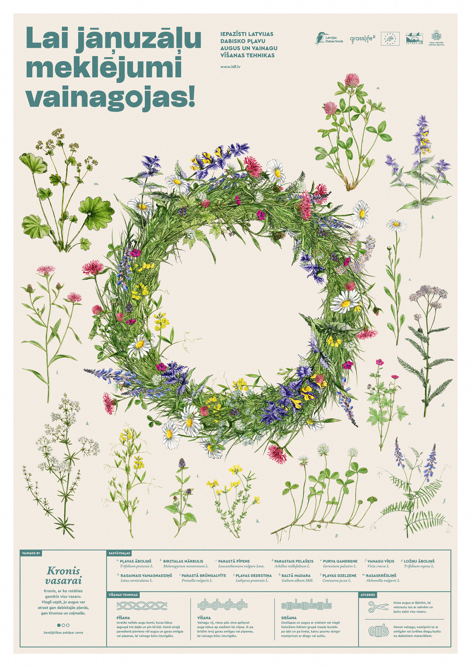 LDF Vainags1