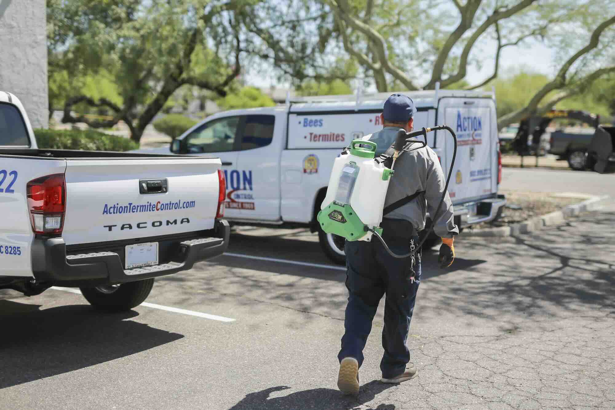 Using Digital Marketing in Pest Control: What You Need to Know