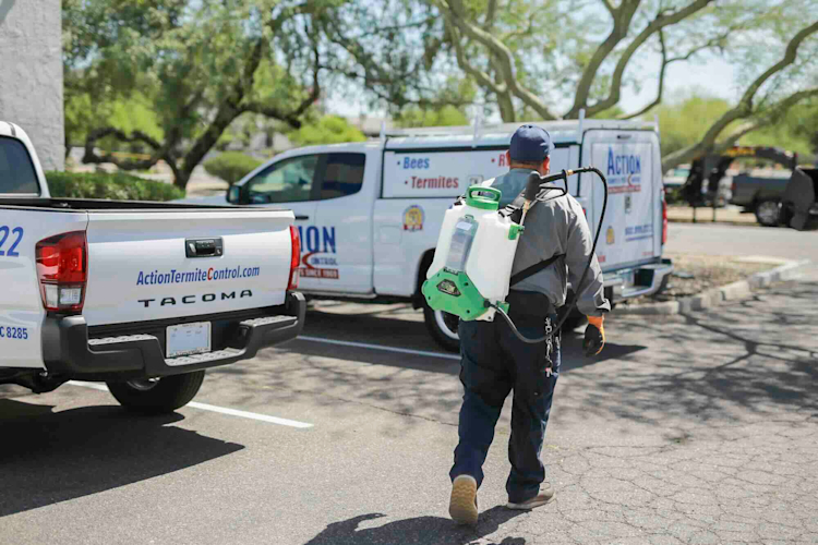 Using Digital Marketing in Pest Control: What You Need to Know
