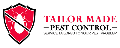 Testimonial Card Image