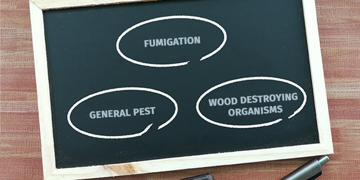 SEO Image | PestRoutes® Now Supports CA Branch 3 Structural Pest Control