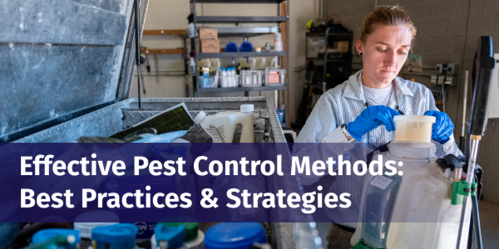 Effective Pest Control Methods: Best Practices & Strategies blog image