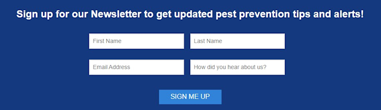 Master Pest Control Email Marketing (Get More Clients) | FieldRoutes