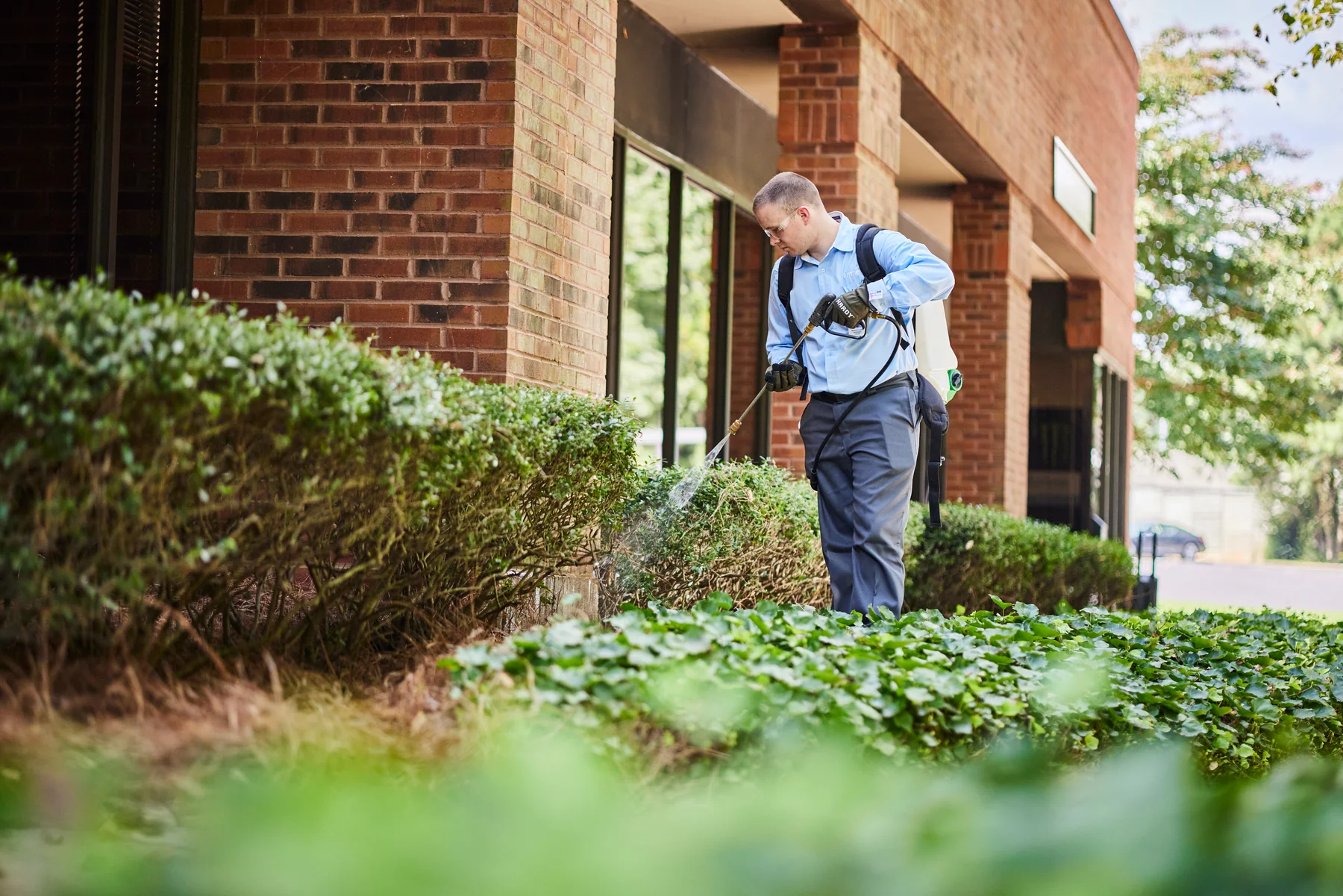 5 Reasons Pest Control Customers Cancel and How to Fix Them