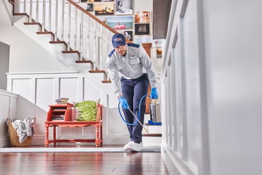 Should You Get ACE Pest Control Certification? ( Pros Cons) FieldRoutes