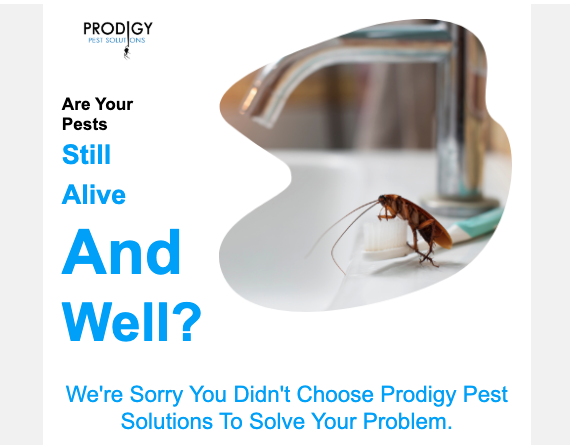 Marketing Made Easy: Prodigy’s Winning Formula