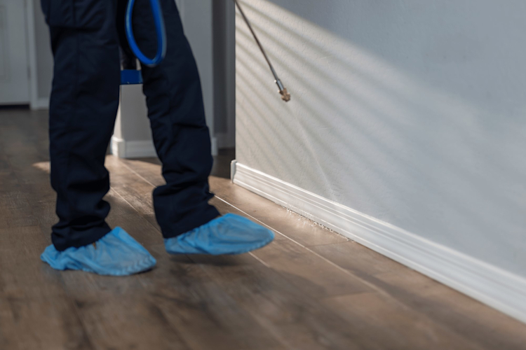 Amid Immigration Enforcement, How Companies Can Support Their Workforce > Featured Image