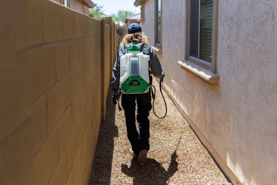 Effective Pest Control Methods: Best Practices & Strategies | FieldRoutes