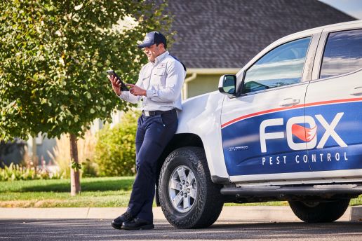 Creating Your Pest Control Marketing Budget Featured Image