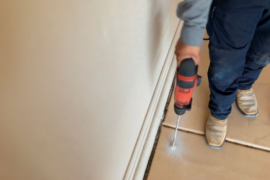 New Mexico Pest Control License & Certification (Updated in 2025)