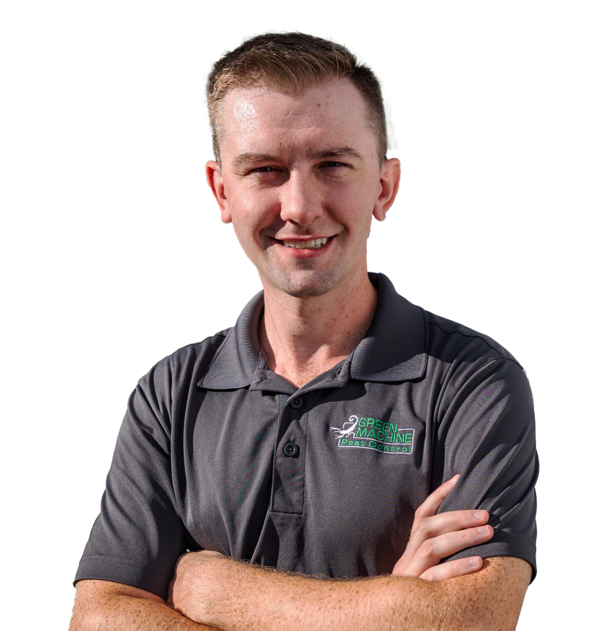 Hero Reference Image