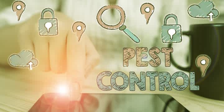 SEO Title | Promote Your Pest Control Business During National Pest Management Month