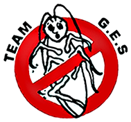 Testimonial Card Image