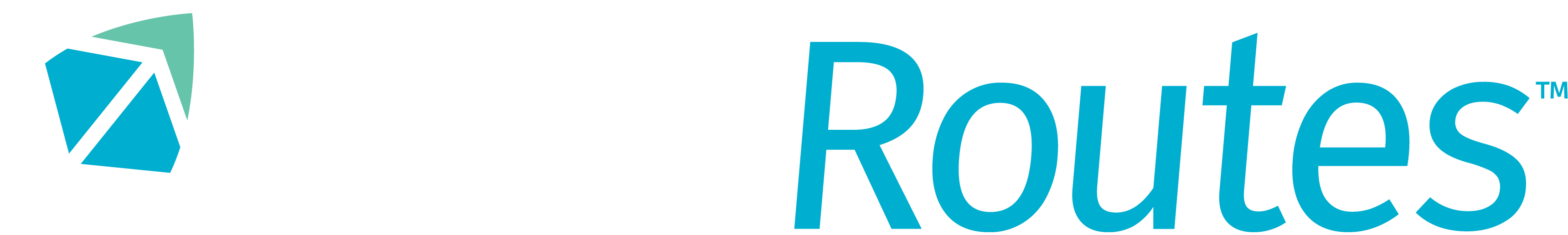 FR Logo image reverse