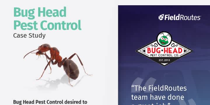 Bug Head Pest Control Case Study