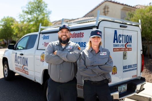 Pest Control Business Legal Structures (Different Legal Structures Explained) Featured Image