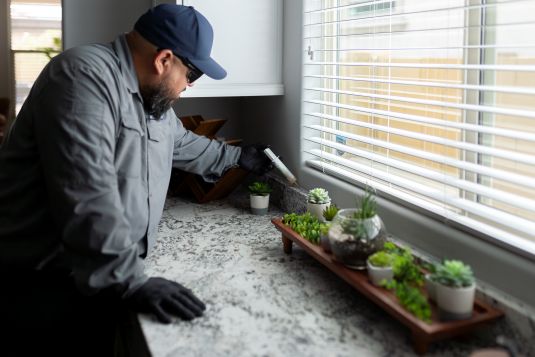 Tennessee Pest Control License & Certification (Updated in 2025) Featured Image