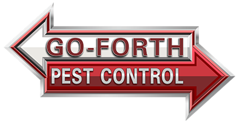 Testimonial Card Image