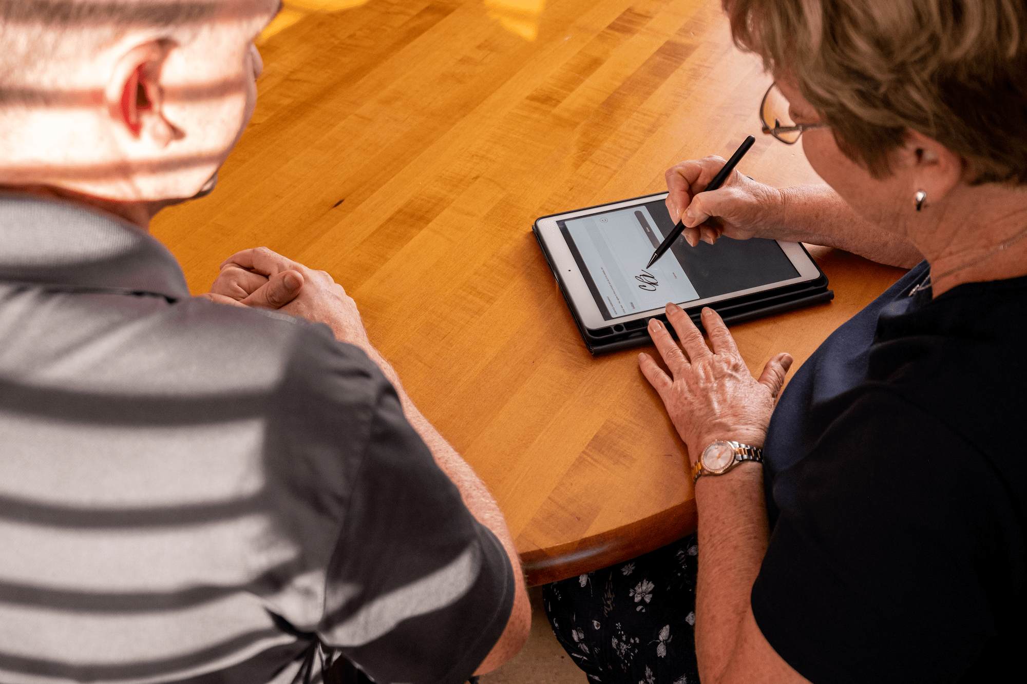 Pest Control Proposal Template (+Free PDF Download)