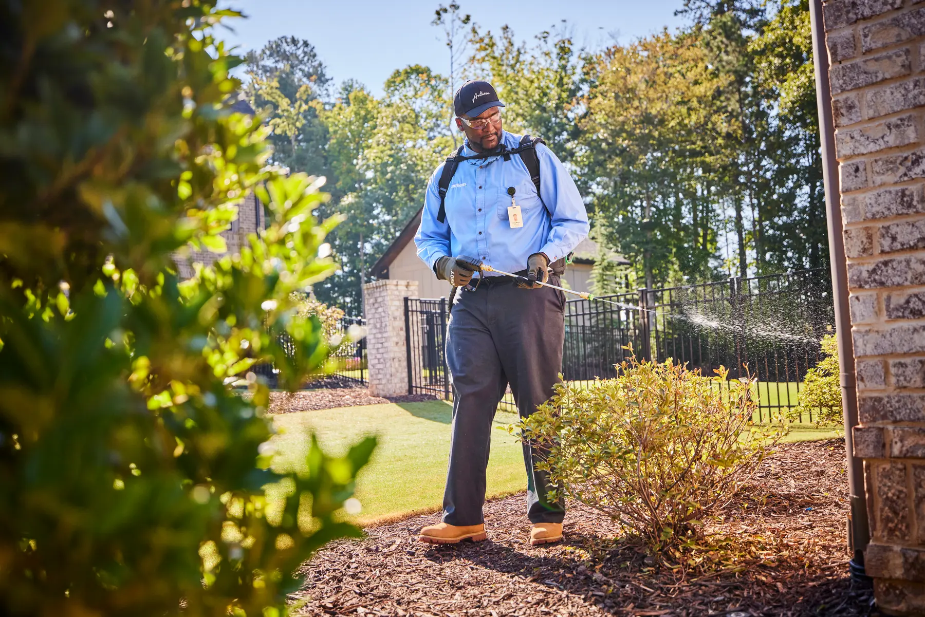 7 Ways to Increase Pest Control Revenue