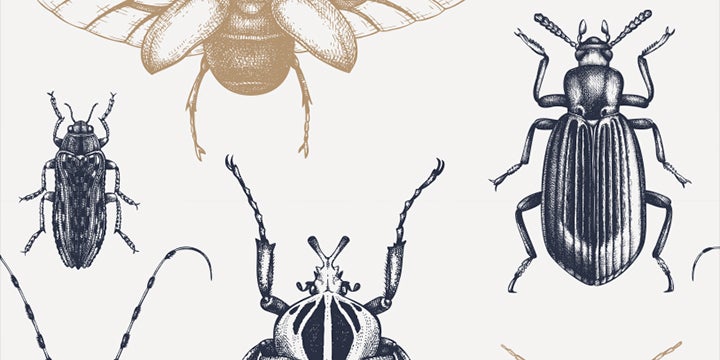 SEO Title | Salute to the Father of Integrated Pest Management