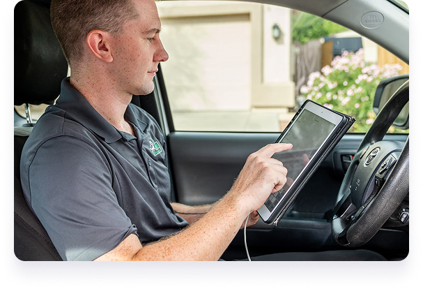 LP | Pest Business Software | Tabbed Switcher > Routing [Image]