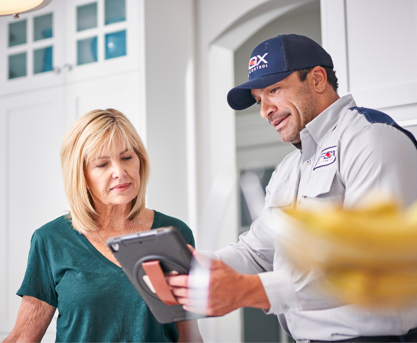 Paid | Termite Company Software | Tabbed Switcher > Collections [Image]