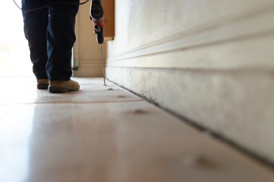 Managing Seasonal Fluctuations in Pest Control Featured Image 