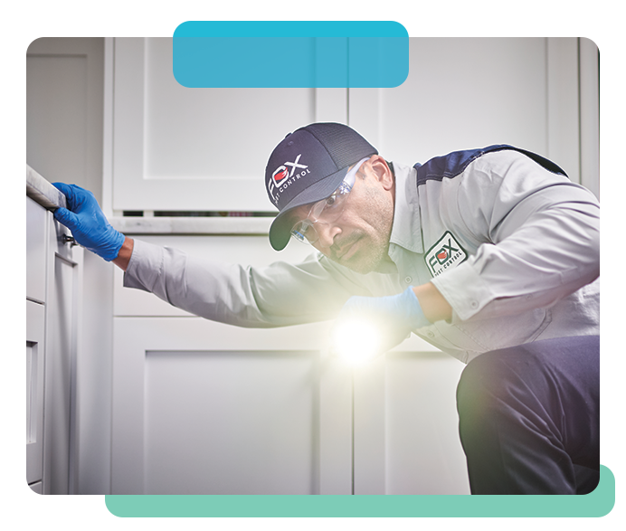 Field Employee tab image