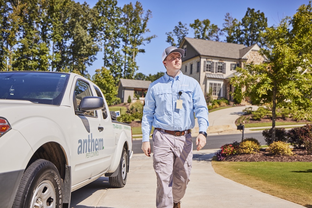 Image | 12 Ways to Grow Your Pest Control Business