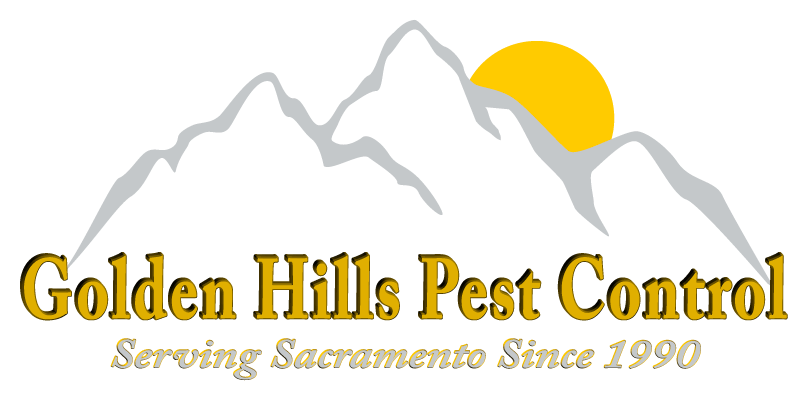 Testimonial Card Image