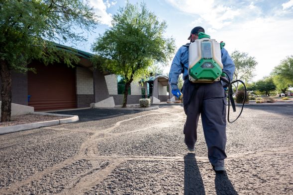 Pest Control Wesley Chapel