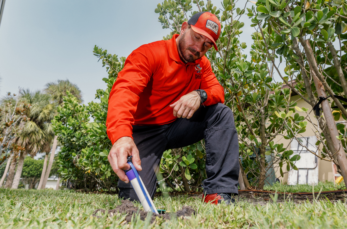 Hero Reference Image