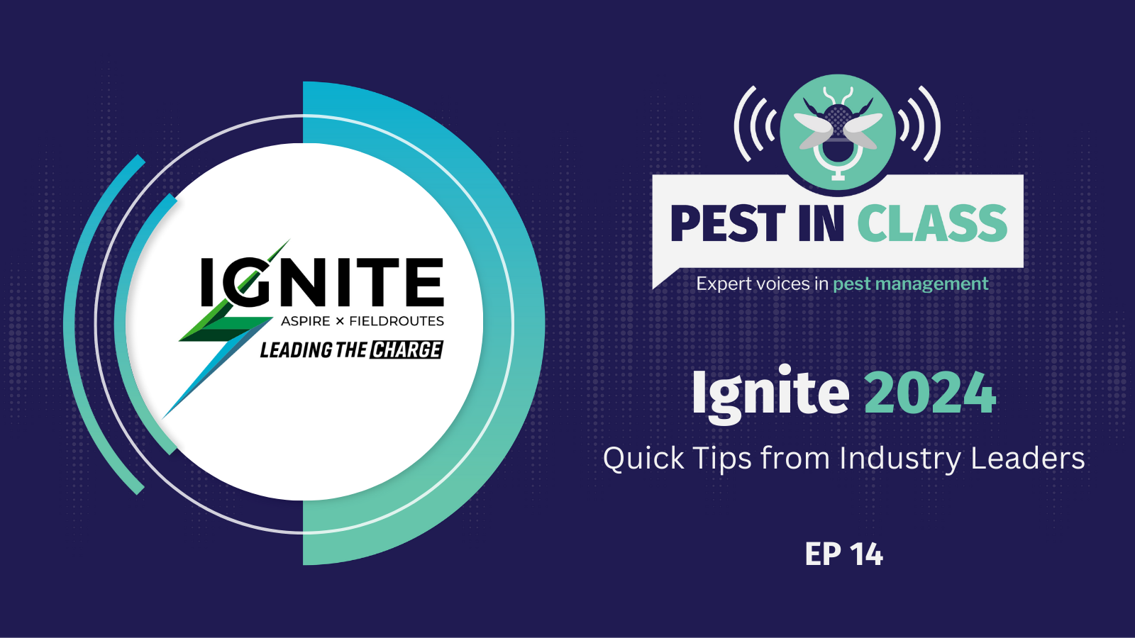 Ignite 2024: Quick Tips from Industry Leaders
