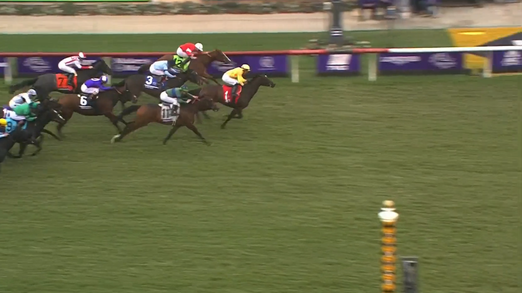 Pizza Bianca lands Juvenle Fillies Turf in the Breeders' Cup Racing