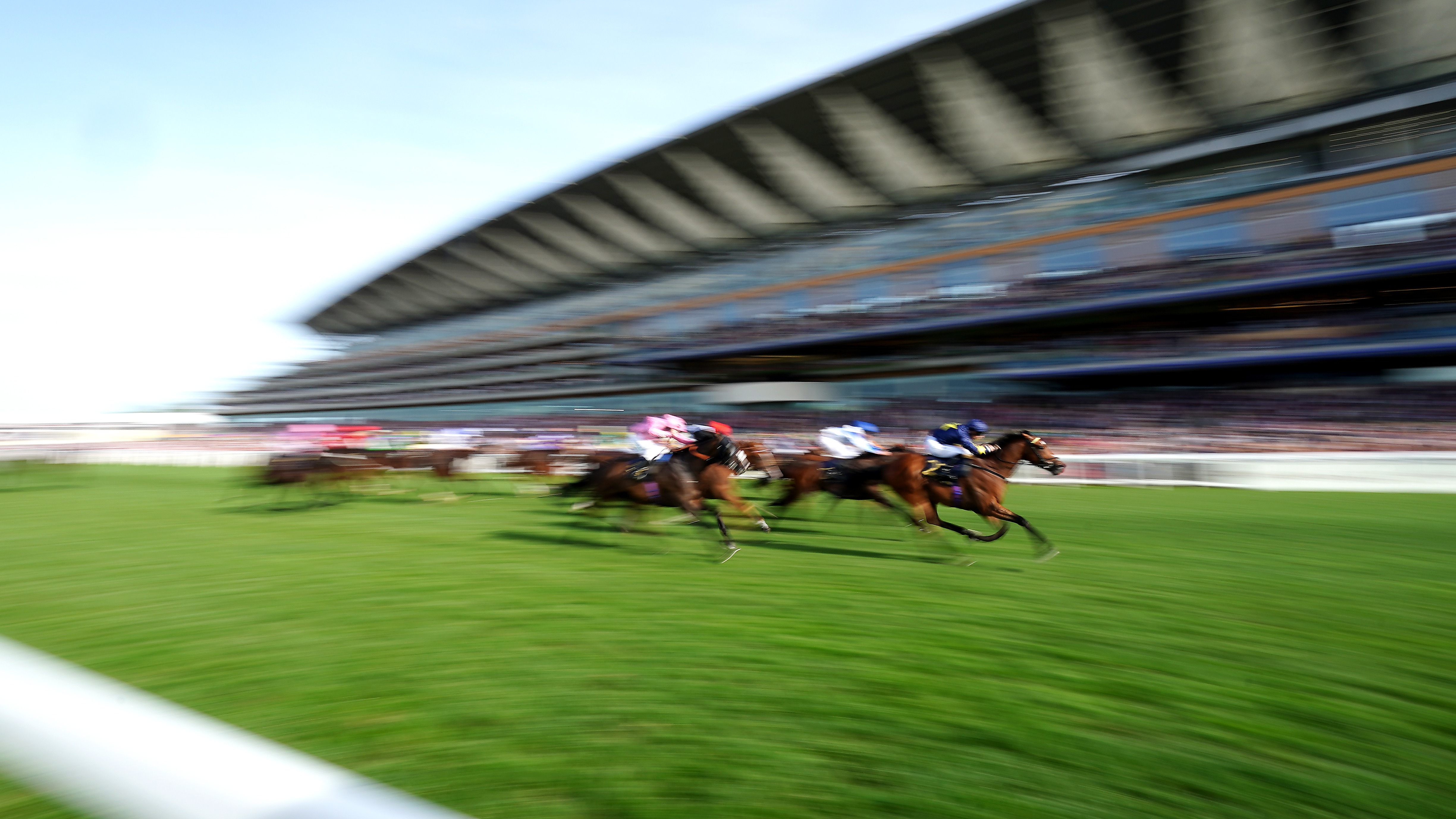 Zahrann under consideration for King Edward VII challenge | Racing