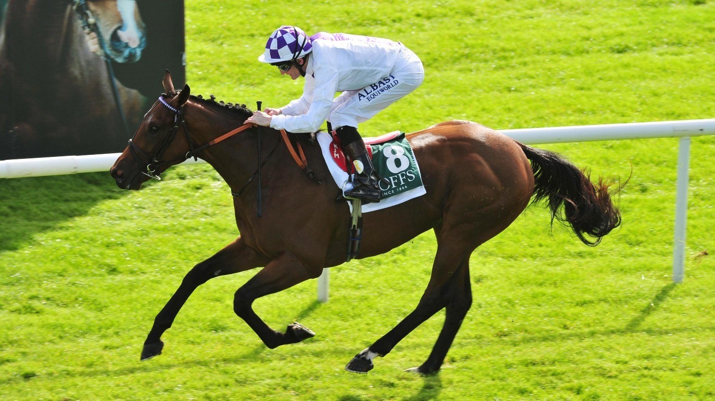 Verbal Dexterity out of the Rowley Mile Classic | Racing
